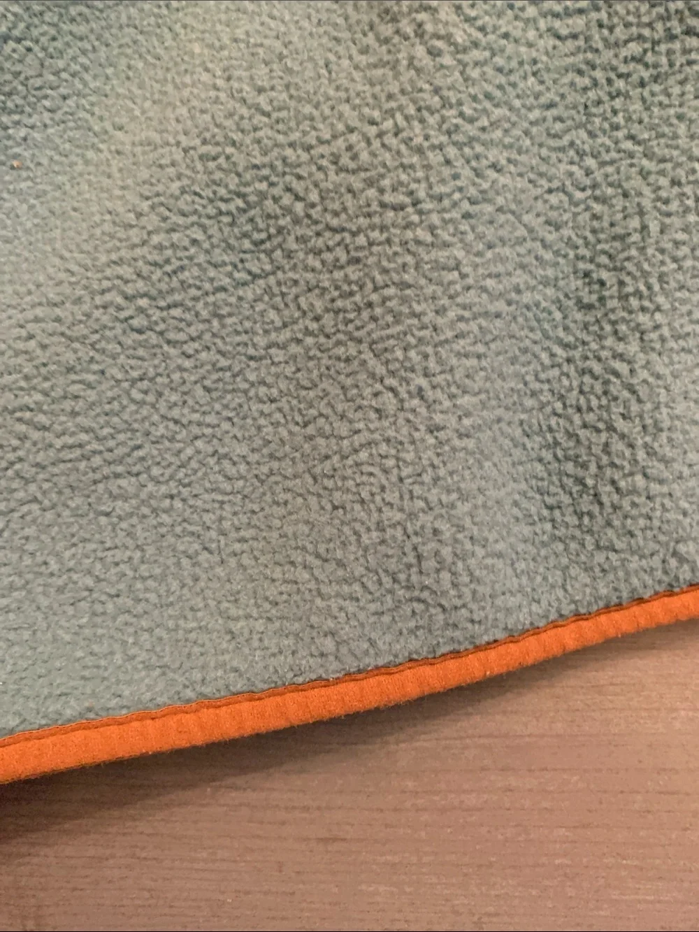 The North Face Teal Blue Hooded Fleece with Brown Trim
